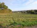 Terrain a batir a vendre Pléchâtel 35470 Ille-et-Vilaine 35 1279 m2 86000 euros 136/5309 003