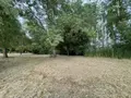 Terrains de loisirs bois etangs a vendre Azay-sur-Indre 37310 Indre-et-Loire 37 19500 euros 021/DV003 002