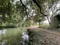 Terrains de loisirs bois etangs a vendre Azay-sur-Indre 37310 Indre-et-Loire 37 19500 euros 021/DV003 006