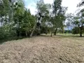 Terrains de loisirs bois etangs a vendre Azay-sur-Indre 37310 Indre-et-Loire 37 19500 euros 021/DV003 007