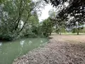 Terrains de loisirs bois etangs a vendre Azay-sur-Indre 37310 Indre-et-Loire 37 19500 euros 021/DV003 008