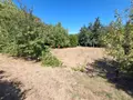 Terrain a batir a vendre Luzillé 37150 Indre-et-Loire 37 728 m2 38160 euros 022/1189 005