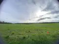 Terrain a batir a vendre Rouziers-de-Touraine 37360 Indre-et-Loire 37 1268 m2 99510 euros 37037/327 002