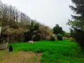 Maison a vendre Pezou 41100 Loir-et-Cher 41 50 m2 2 pièces 34000 euros 072/1769 002