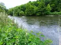 Terrains de loisirs bois etangs a vendre Fréteval 41160 Loir-et-Cher 41 14500 euros 072/1778 002