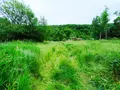 Terrains de loisirs bois etangs a vendre Fréteval 41160 Loir-et-Cher 41 14500 euros 072/1778 004