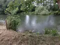 Terrains de loisirs bois etangs a vendre Fréteval 41160 Loir-et-Cher 41 44000 euros 072/1860 006