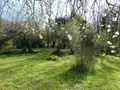 Maison a vendre Saint-Germain-des-Prés 45220 Loiret 45 141 m2 6 pièces 164000 euros 065/1219 014