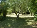 Maison a vendre Griselles 45210 Loiret 45 184 m2 5 pièces 249500 euros 065/1246 016