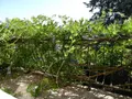 Maison a vendre Montargis 45200 Loiret 45 130 m2 6 pièces 189000 euros 065/1250 009