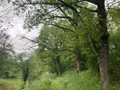 Terrain a batir a vendre Cahors 46000 Lot 46 1227 m2 53000 euros 009/1685 001