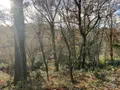 Terrain a batir a vendre Cahors 46000 Lot 46 1227 m2 53000 euros 009/1685 002