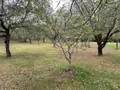 Maison a vendre Fontanes 46230 Lot 46 175 m2 5 pièces 288500 euros 009/1739 008