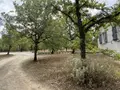 Maison a vendre Lalbenque 46230 Lot 46 143 m2 5 pièces 371380 euros 009/1778 021