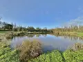 Propriete a vendre Le Mesnil 50580 Manche 50 439 m2 16 pièces 519800 euros 045/1719 020
