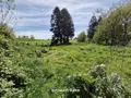 Maison a vendre La Chapelle-Urée 50370 Manche 50 101 m2 4 pièces 159000 euros 8462 017