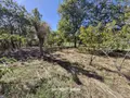 Maison a vendre Landivy 53190 Mayenne 53 47 m2 2 pièces 65720 euros 8532 033