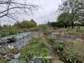Maison a vendre Pontmain 53220 Mayenne 53 145 m2 4 pièces 148400 euros 8515 027