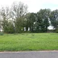Terrain a batir a vendre Broyes 51120 Marne 51 570 m2 41650 euros 034/1283 002