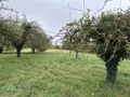 Terrain a batir a vendre Broussy-le-Grand 51230 Marne 51 3485 m2 27125 euros 043/1365 001
