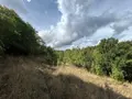 Terrains de loisirs bois etangs a vendre Château-Gontier-sur-Mayenne 53200 Mayenne 53 8900 euros 028/2218 002