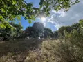 Terrains de loisirs bois etangs a vendre Château-Gontier-sur-Mayenne 53200 Mayenne 53 8900 euros 028/2218 003