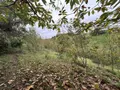 Terrains de loisirs bois etangs a vendre Château-Gontier-sur-Mayenne 53200 Mayenne 53 8900 euros 028/2218 004