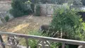 Maison a vendre Château-Gontier-sur-Mayenne 53200 Mayenne 53 130 m2 6 pièces 270800 euros 028/2374 012