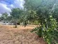 Maison a vendre Moulay 53100 Mayenne 53 241 m2 8 pièces 382950 euros 382950 005