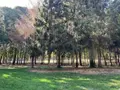 Terrains de loisirs bois etangs a vendre Oisseau 53300 Mayenne 53 167200 euros 046/894 002