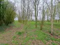 Terrains de loisirs bois etangs a vendre Prée-d'Anjou 53200 Mayenne 53 63360 euros 076/2758-MAD 003
