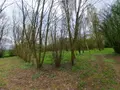 Terrains de loisirs bois etangs a vendre Prée-d'Anjou 53200 Mayenne 53 63360 euros 076/2758-MAD 004