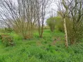 Terrains de loisirs bois etangs a vendre Prée-d'Anjou 53200 Mayenne 53 63360 euros 076/2758-MAD 005
