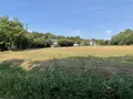 Terrain a batir a vendre Allaire 56350 Morbihan 56 851 m2 36440 euros 119c 004