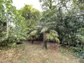 Propriete a vendre Rochefort-en-Terre 56220 Morbihan 56 40 m2 3 pièces 74200 euros 83b 008