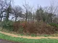 Terrains de loisirs bois etangs a vendre Néant-sur-Yvel 56430 Morbihan 56 8400 euros 05965 002