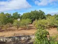 Maison a vendre Mauron 56430 Morbihan 56 98 m2 5 pièces 157350 euros 05971 015