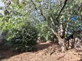 Maison a vendre Mauron 56430 Morbihan 56 98 m2 5 pièces 157350 euros 05971 017