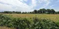 Terrain a batir a vendre Mauron 56430 Morbihan 56 1000 m2 43950 euros 54TAB 001