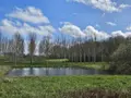 Terrains de loisirs bois etangs a vendre Vaas 72500 Sarthe 72 11000 euros 106403 002