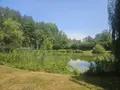 Terrains de loisirs bois etangs a vendre Vaas 72500 Sarthe 72 18000 euros 107472 002
