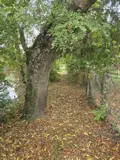 Terrains de loisirs bois etangs a vendre Vaas 72500 Sarthe 72 38500 euros 107625 002