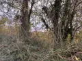 Terrains de loisirs bois etangs a vendre Auxi-le-Château 62390 Pas-de-Calais 62 23500 euros 113/1750 003