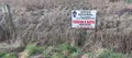 Terrain a batir a vendre Rue 80120 Somme 80 1000 m2 68400 euros 113/1765 003
