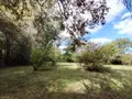 Terrains de loisirs bois etangs a vendre Naintré 86530 Vienne 86 18500 euros 018/1044 013