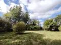 Terrains de loisirs bois etangs a vendre Naintré 86530 Vienne 86 18500 euros 018/1044 014
