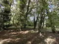 Terrains de loisirs bois etangs a vendre Naintré 86530 Vienne 86 18500 euros 018/1044 015