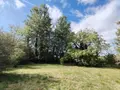 Terrains de loisirs bois etangs a vendre Naintré 86530 Vienne 86 18500 euros 018/1044 002