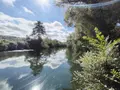 Terrains de loisirs bois etangs a vendre Naintré 86530 Vienne 86 18500 euros 018/1044 003