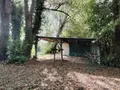 Terrains de loisirs bois etangs a vendre Naintré 86530 Vienne 86 18500 euros 018/1044 005